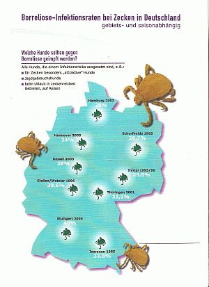 Verbreitung der Borreliose in Deutschland